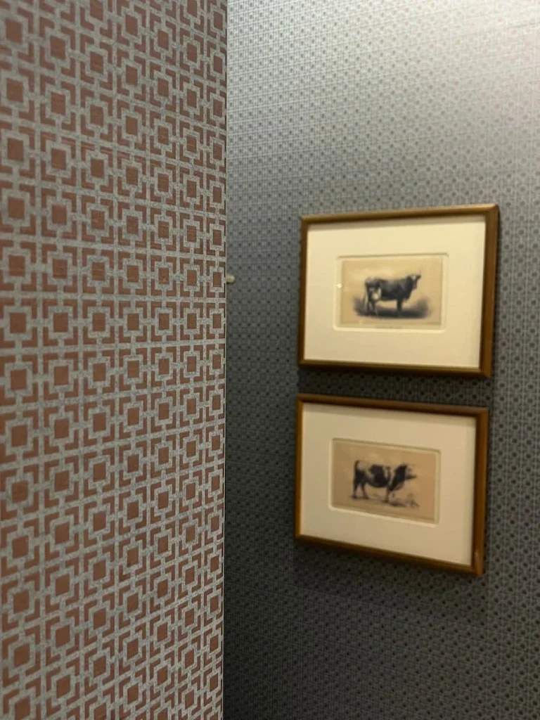 Photographs of cows in room at Hotel Icon, Houston