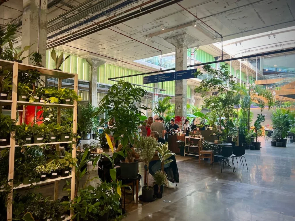 Sustainable Houston Guide: Eden Plant Co & Coffee interiors at POST Houston.