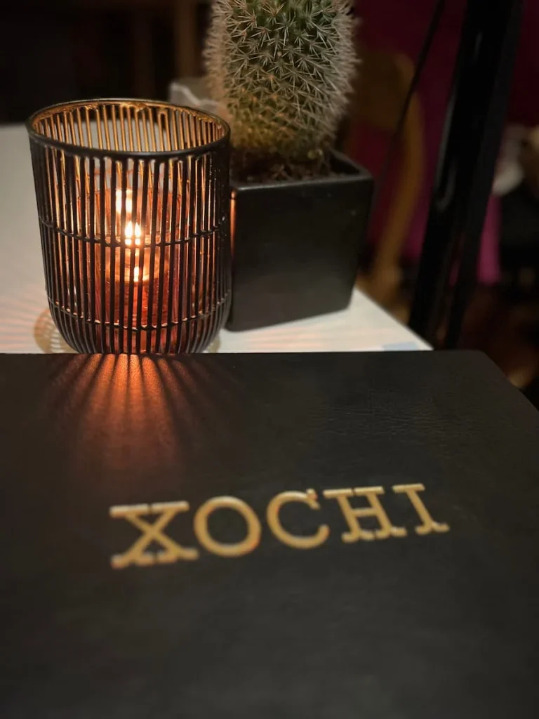 Vegetarian food in Houston: Xochi menu adn tea light
