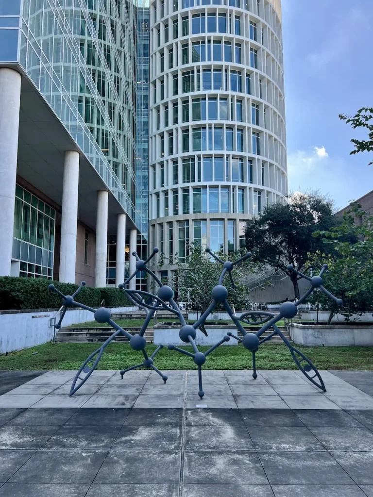 3 days in Houston: Texas Medical Center, Houston DNA sculptor