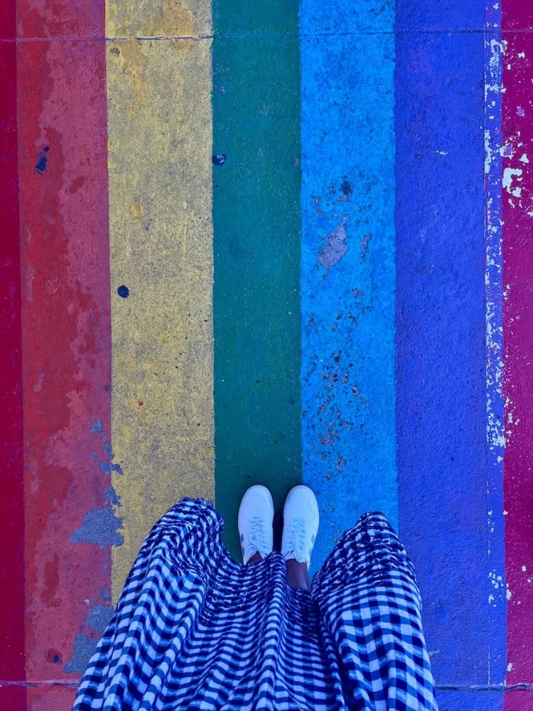 photo locatins in Houston: Rainbow crosswalk in Montrose with Bejal's trainers