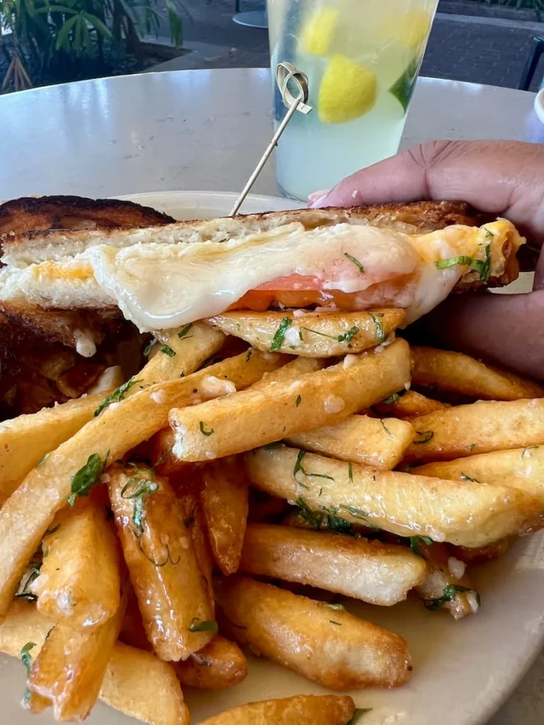 Vegetarian food in Houston: Brasil grilled cheese close-up