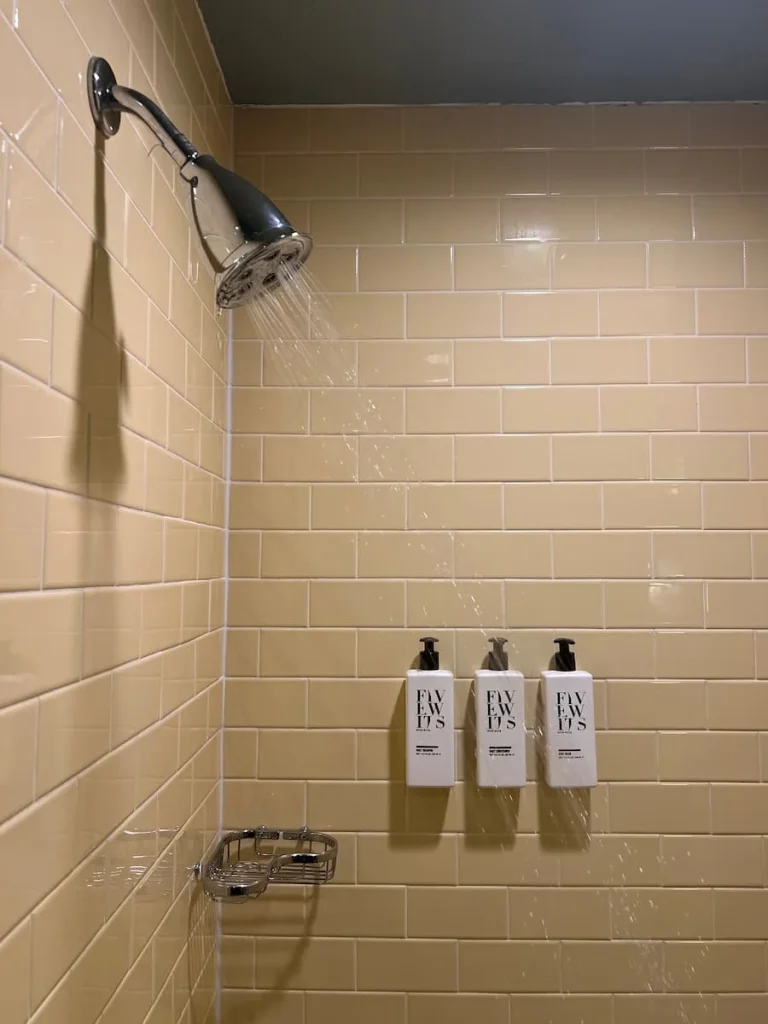 Shower and Five Wits bath products at Hotel Icon, Houston