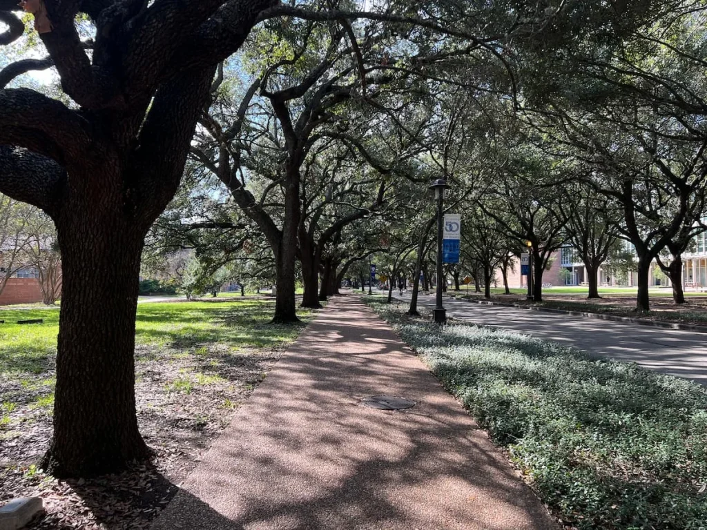 Photo locations in Houston: Rice university tree-lined streets