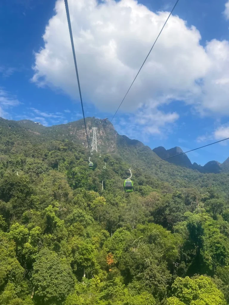 Things to do in Langkawi: Skycab Gondolas travelling through the rainforest. View taken from inside a gondola