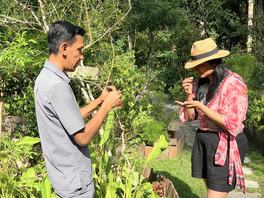 This is a complementary activity conducted by one of the permaculture garden team, Hamad, who can introduce guests to the different plants (used onsite in soaps) and herbs grown here. They also have a wormery, bee hives, and fish whose waste products are used to fertilize the water via hydroponics. Additionally guests are given an insight into how the resort heats non-recyclable waste such as plastic to use as a compost in the garden. 