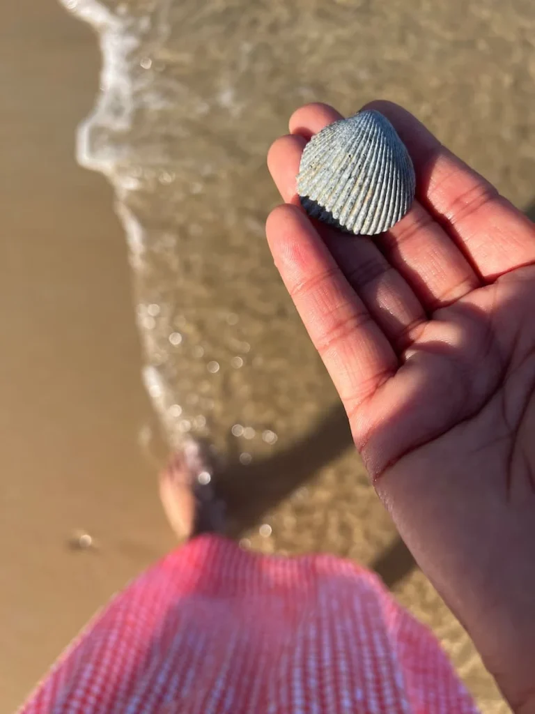 Bejal holding a shell in hand with waves lapping feet at The Datai Beach