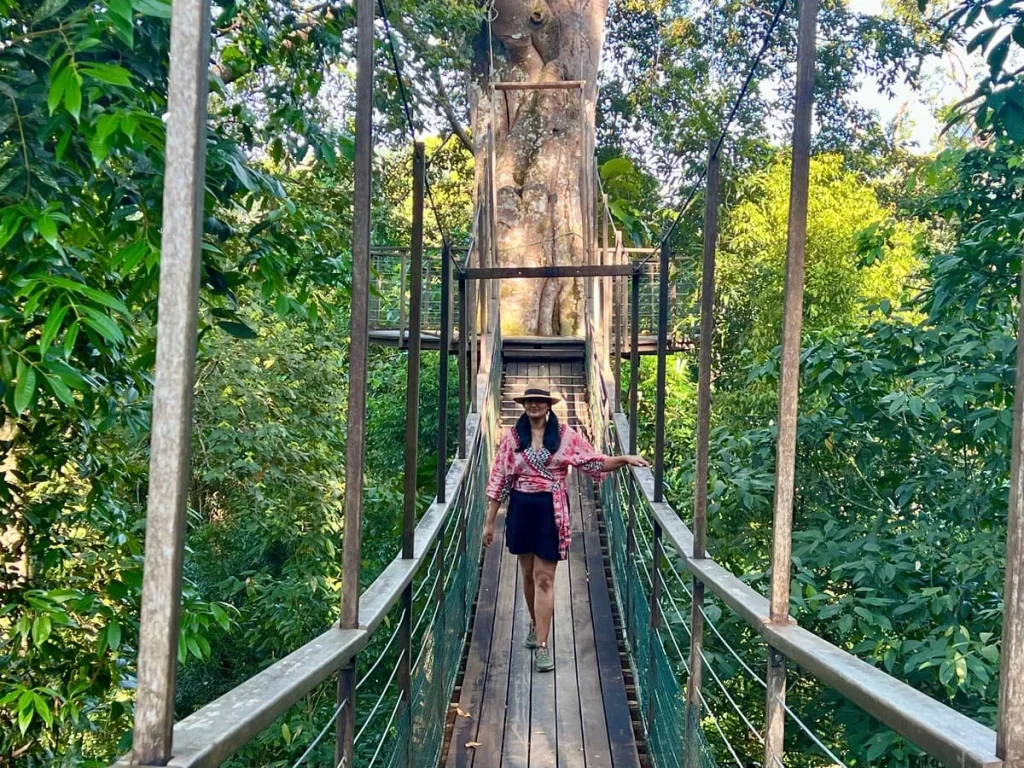 Bejal walking on suspended bridge on Journey through the forests walk at The Datai Langkawi