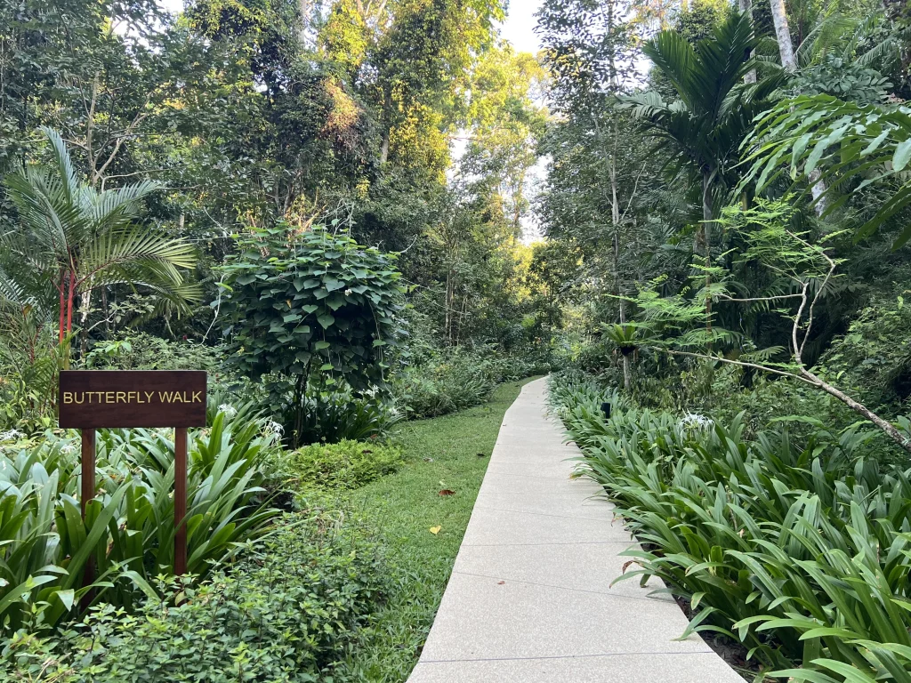 Butterfly Walk with a path in the middle surrounded by foliage at The Datai Langkawi