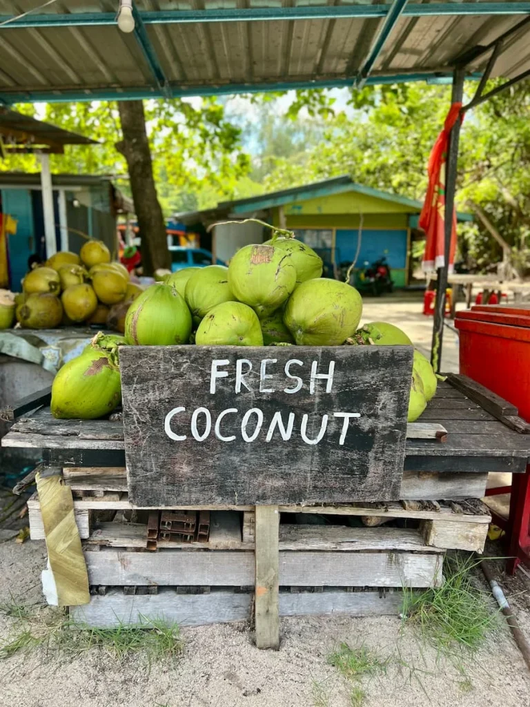 Things to do in Langkawi:  Tanjung Rhu beach fresh coconut stall at the back of the beach.
