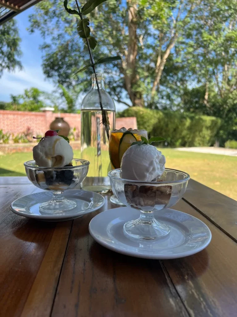 Vegan and Vegetarian food in Langkawi: Desserts with ice-cream at Fat Frog Langkawi