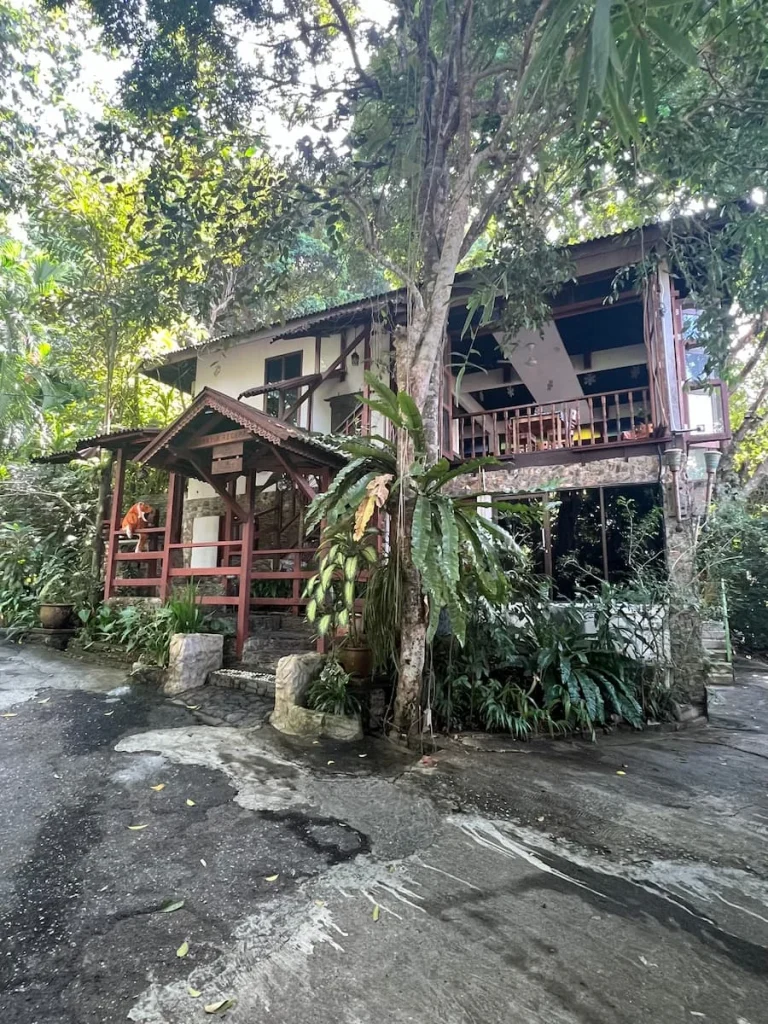 window seating at Pegaga Cafe: Exterior of the Pegaga Cafe on stilts and surrounded by trees