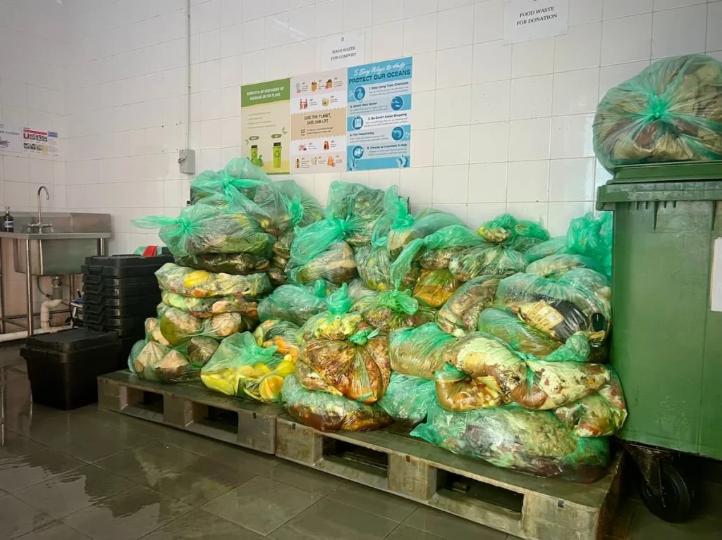 Sustainability at The Datai Langkawi: Food waste in green bags packed to be macertaed adn compacted to be made into fertiliser