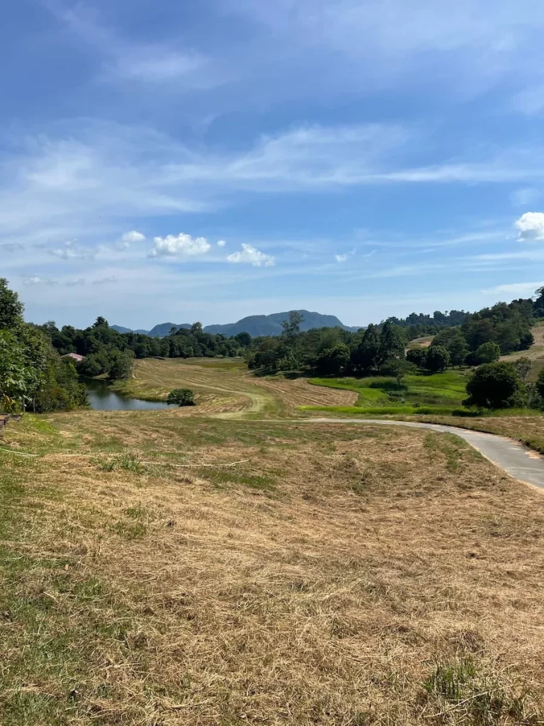 Vegan and Vegetarian food in Langkawi: Golf course views from The Fat Frog