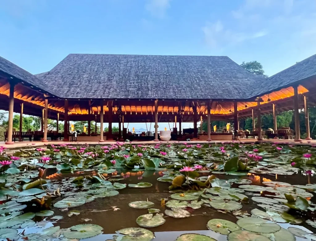 Things to do in Langkawi:  Lilly pond & reception at The Datai Langkawi Luxury Hotel