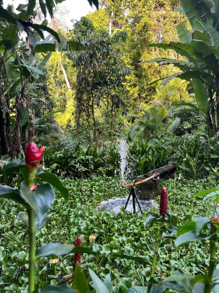Entrance to Permaculture Garden with wooden sign at The Datai Langkawi