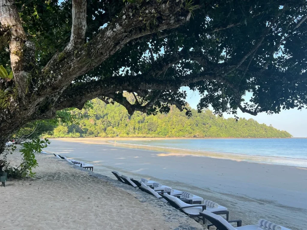 Sun loungers on the Datai beach