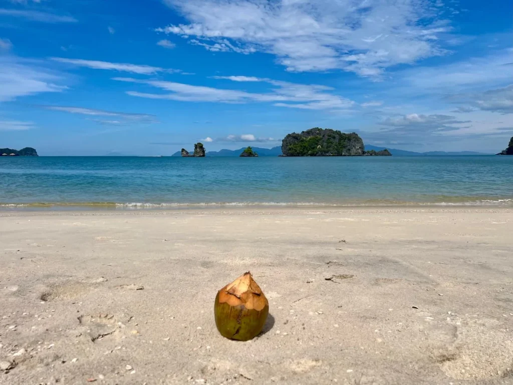 Things to do in Langkawi: Island hopping beaches with coconut  on Island hopping tours in Langkawi