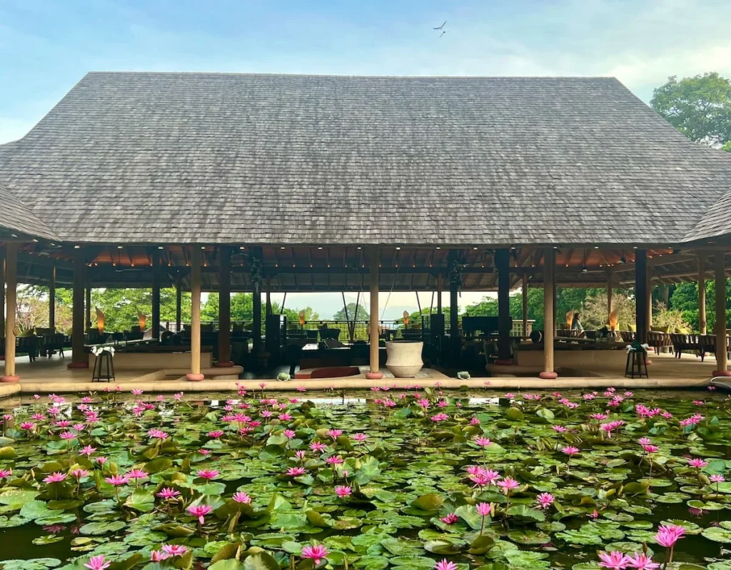 This is a complementary activity conducted by one of the permaculture garden team, Hamad, who can introduce guests to the different plants (used onsite in soaps) and herbs grown here. They also have a wormery, bee hives, and fish whose waste products are used to fertilize the water via hydroponics. Additionally guests are given an insight into how the resort heats non-recyclable waste such as plastic to use as a compost in the garden.