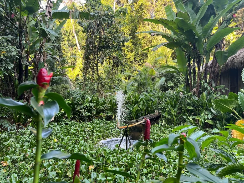 Sustainability at The Datai Langkawi: Watering system at the Permaculture garden
