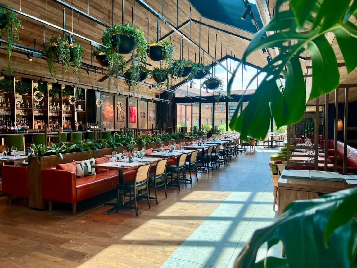 Landscape bar and middle aisle of Fifty The Street Restaurant, Loughborough framed from behind a plant