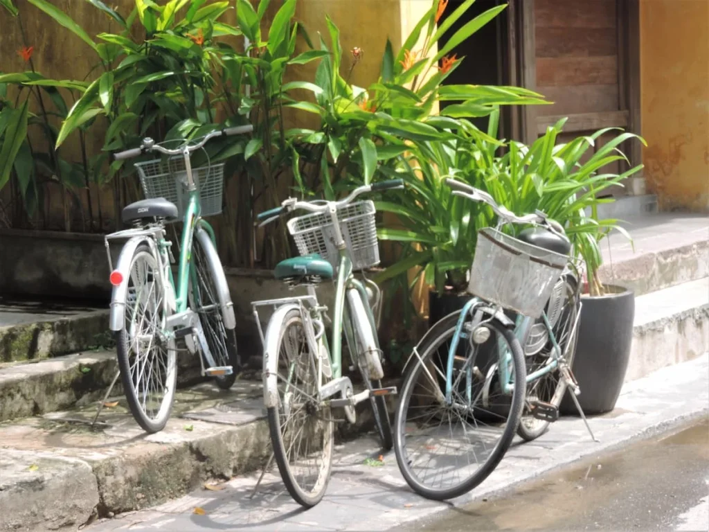 3 bikes in Hoi An on a stone step, with white baskets surrounded by green foliage and plants