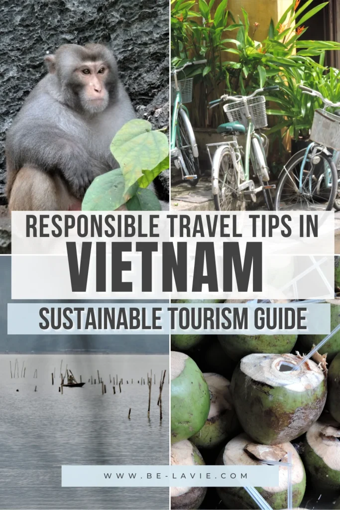 Sustainable Tourism in Vietnam Pinterest Pin with 4 images overlaid with text, reading responsible travel tips in Vietnam, sustainable tourism guide