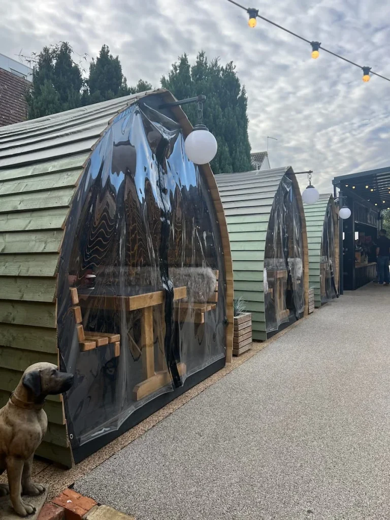 The outdoor pods at The Yard, Ely. There is a statue of a wooden boxer dog beside the pods