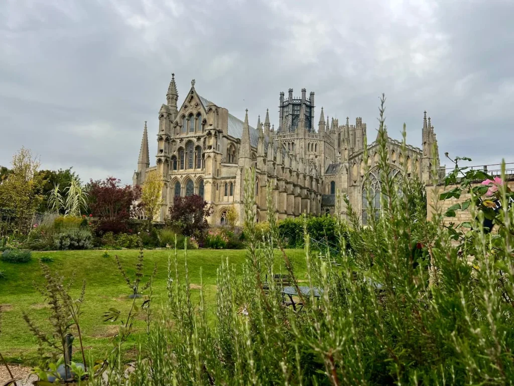 The back view of Ely cathedral from the Armonry Kitchen. The Cathedral is covered with wild flowers and foliage and there is a green lawn right infront of the gothic structure.