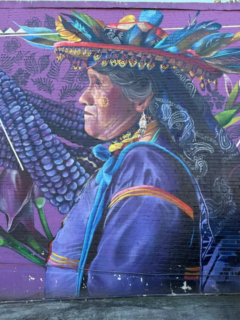 Alma Indigena Mural in Georgetown, Washington DC with its purple and blue colours on a full length wall