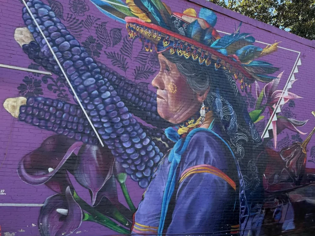 Alma Indigena Mural in Georgetown, Washington DC with its purple and blue colours on a full length wall