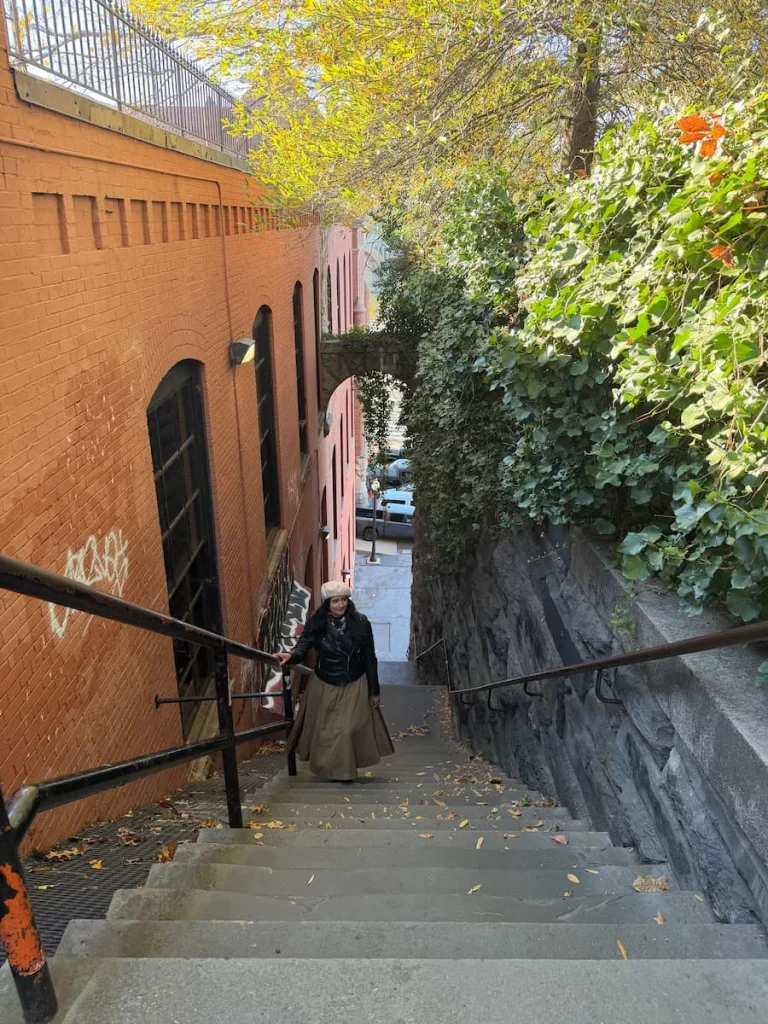 Bejal walking up The Exorcist steps wearing a gold skirt and black jacket, Georgetown, Washington DC
