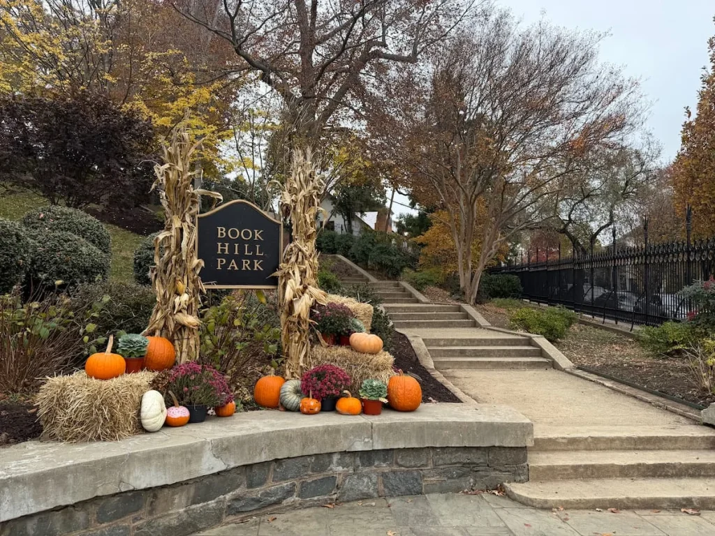 Book Hill Park, Georgetown Washington DC with autumnal foliage and pumpkins on the entrance up to the park
