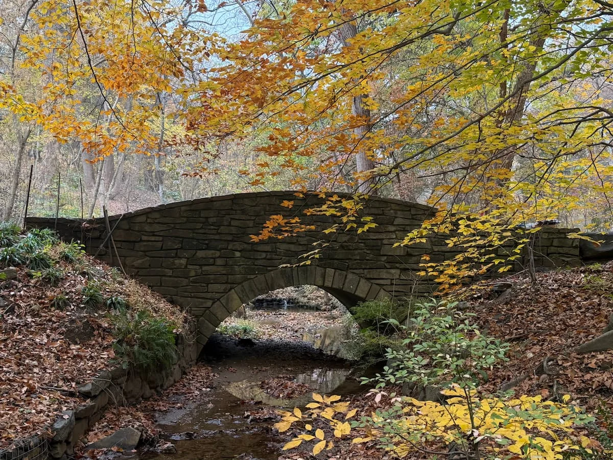 Dunbarton Oaks Park, Georgetown, Washington DC. The park has a brick bridge which is surrounded by autumn foliage