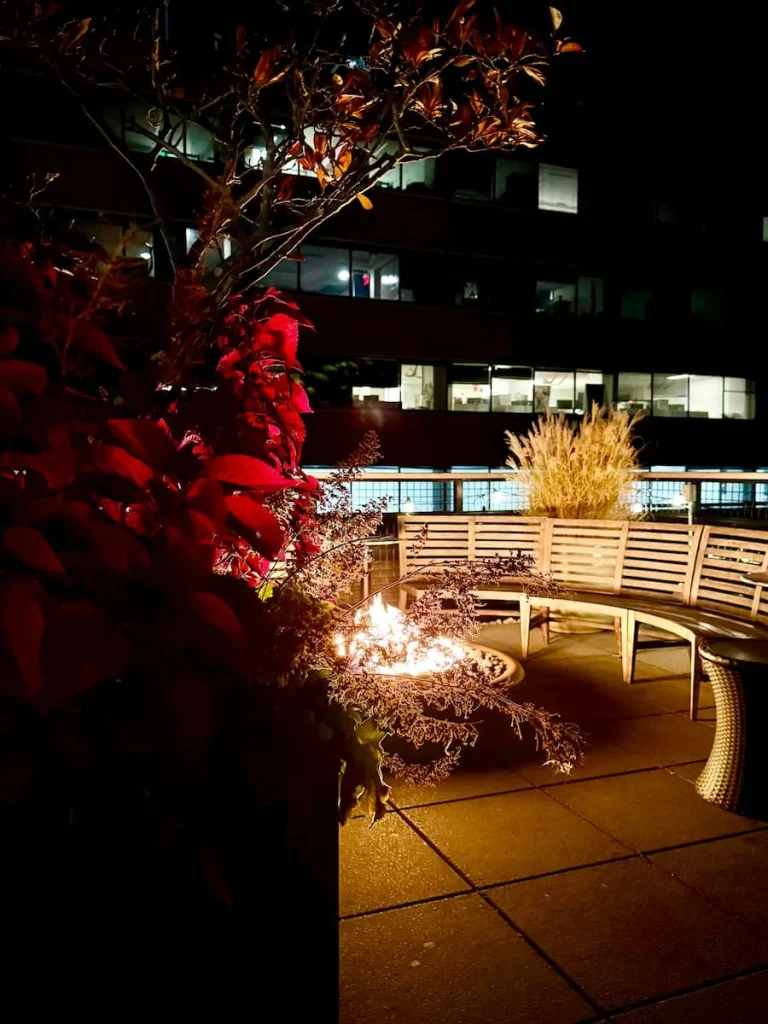 Fire pit on outside portion of Wild Days roof top bar, Washington DC