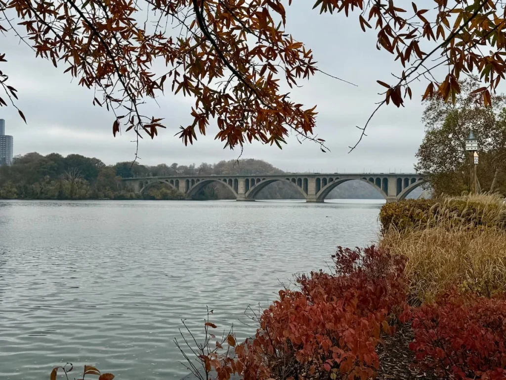 Georgetown Waterfront with Francis Scott Key Bridge, Washington DC. The autumn foliage is framing the photo in hues of red and brown. The bridge is in the distance