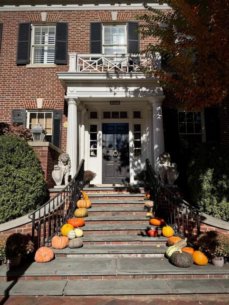 Historic looking house fascia with pumpkins on the steps in in Georgetown Washington DC. The door is a mid-grey and there are grand stairs leading up to the entrance with trees framing the image
