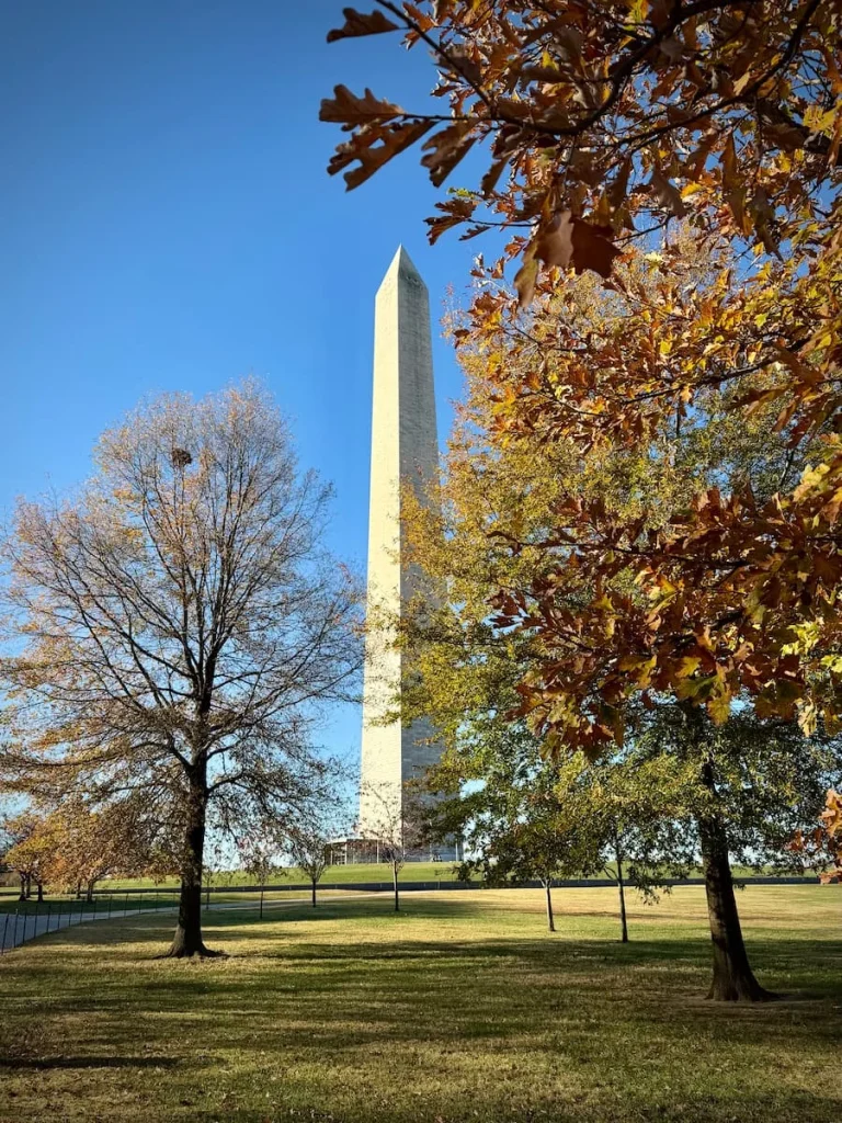 Washington DC Monument covered in autumnal trees to either side