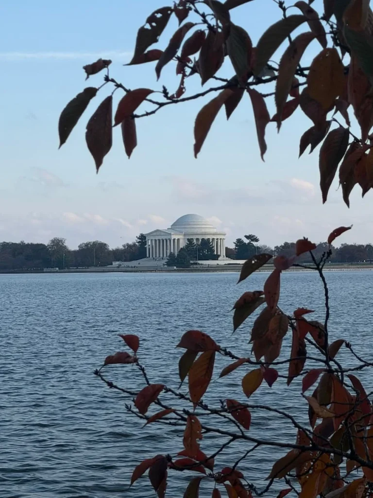 The Jefferson Memorial from The Tidal Basin with the water in front of the image and an autumnal foliage frame