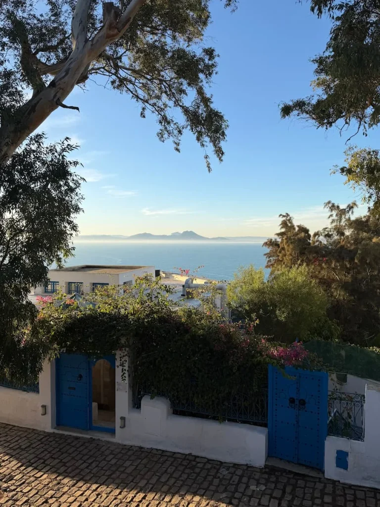 Cafe des Delices entrance overlooking the sea in Sidi Bou Said, Tunisia, The image is framed in bougainvillaea and trees.