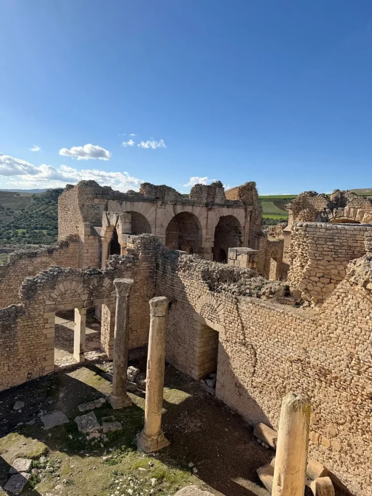 Dougga olive groves and baths, Tunisia. The distance has the stone arches with olive groves in the background
