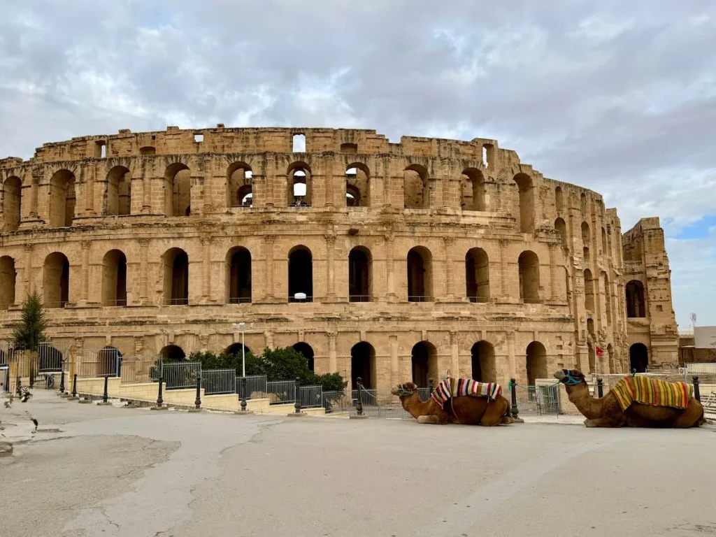 El Djem Amphitheatre exterior, Tunisia. The colosseum like exterior of the amphitheatre is made from sand coloured stone and has many window-like arch openings all the way around it. There are 2 camels sat in front.