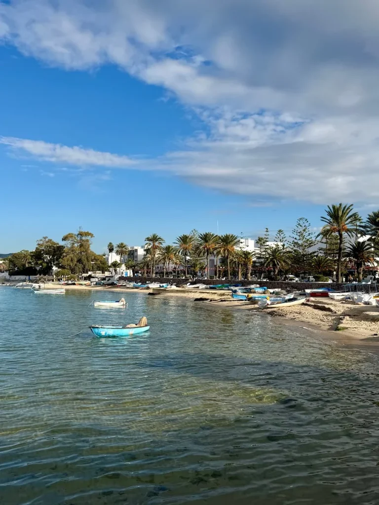 Fishing beach in Hammamet old town, Tunisia. There are a few colourful fishing boats in the water and the shore is full of restaurants and shops in a line. There are also lots of other fishing boats in the small bay area