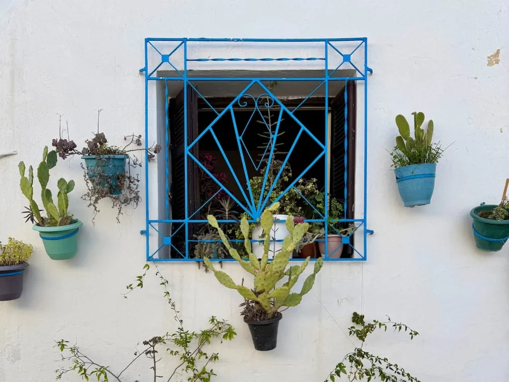 Garden decorations in small pots in Testour. Green plants and shoots are planted in blue pots against a white background as the houses are too small to hold planters inside