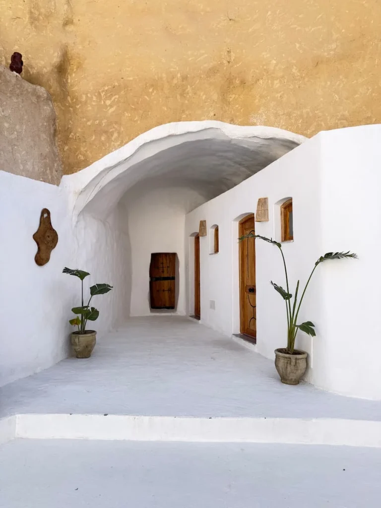 Hotel Driss Room Doors which are brown wood against a white washed wall, There are tall plants in woven plants pots outside each door in Matmata.