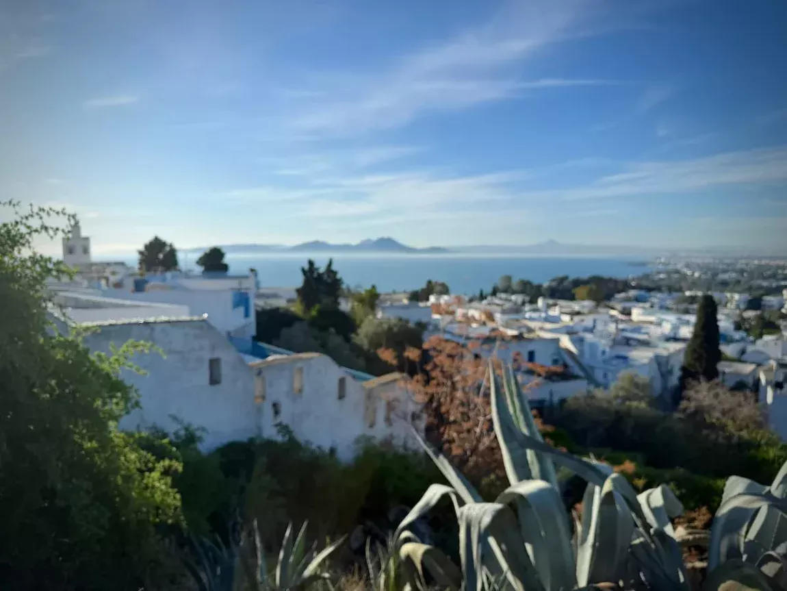 Panoramic view from Sidi Bou Said viewing platform featuring the sea, white and blue houses and rooftops and extra foliage