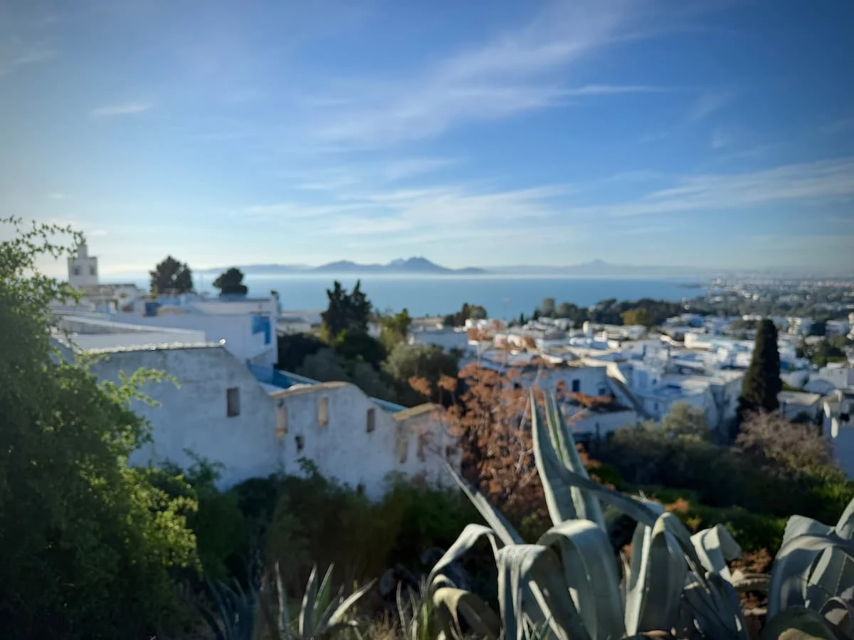 Panoramic view from Sidi Bou Said viewing platform featuring the sea, white and blue houses and rooftops and extra foliage