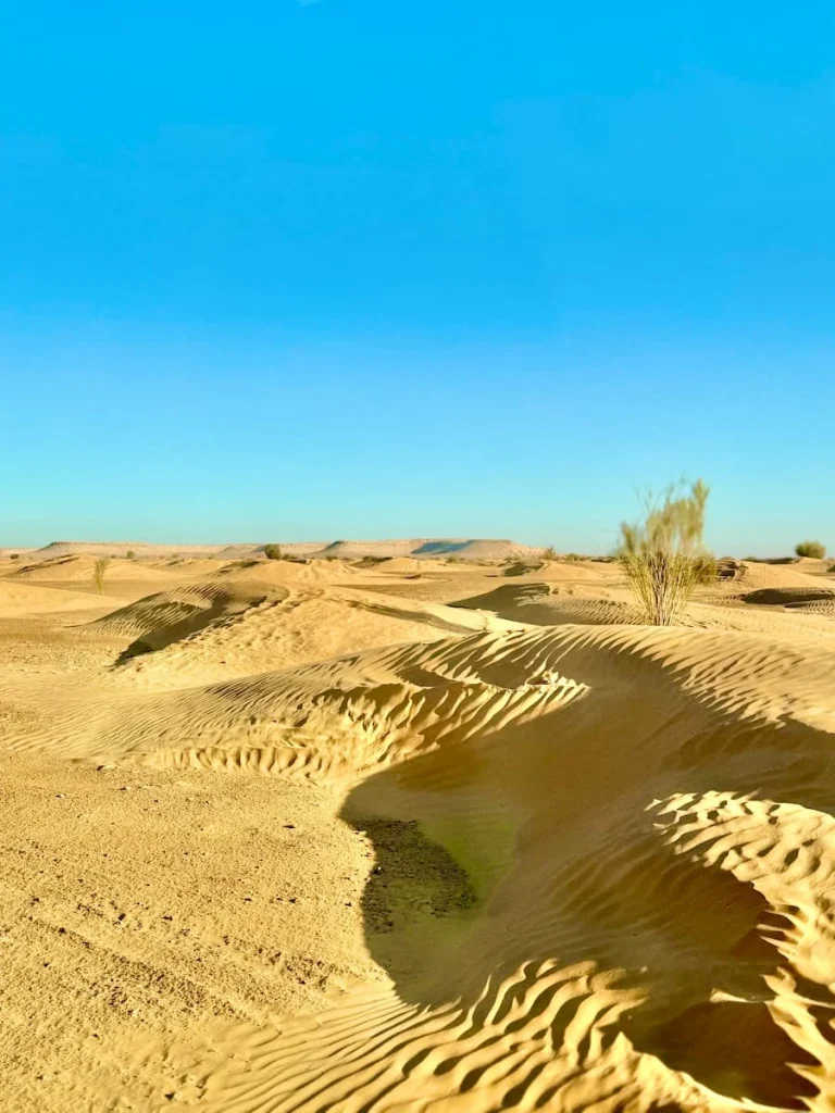 Sahara desert landscape at Camp Abdelmoula with bright blue skies and rippled sand dunes