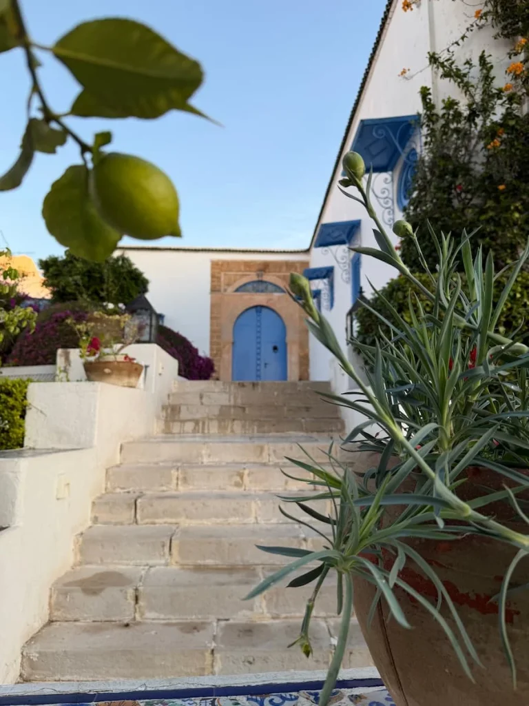 Hotel Dar Said front door in the distance framed with cacti, limes and other rfoliage, Tunisia