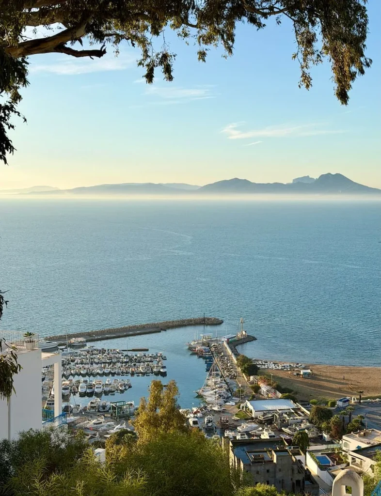 Aerial view of the Sidi Bou Said Marina with the Mediterranean sea in the background and misty mountain ranges in the distance